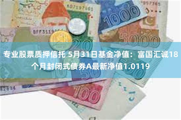 专业股票质押信托 5月31日基金净值：富国汇诚18个月封闭式债券A最新净值1.0119